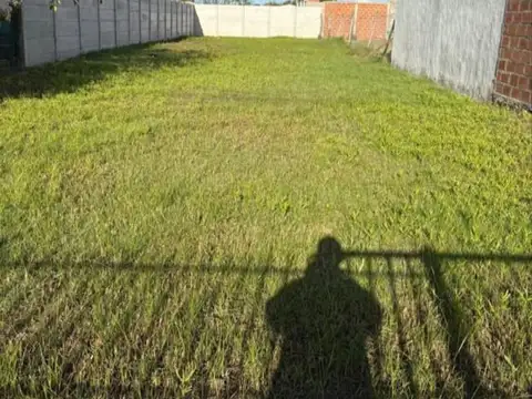 Giachino 100