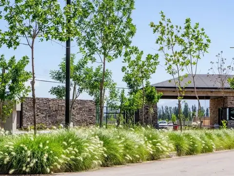 Terreno en Venta en Vistalba, Lujan de Cuyo