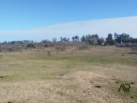 Venta chacra 28 hectáreas lindera arroyo San Carlos