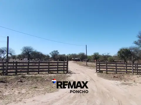 Ruta Provincial 112 KM 16, Las Palmitas, Dpto La Paz, Catamarca 100