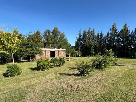 Las Acacias 100