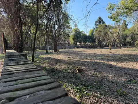 Ultimos terrenos llenos de árboles