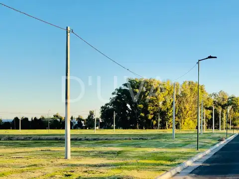 Terreno en Venta 40  mts Fondo