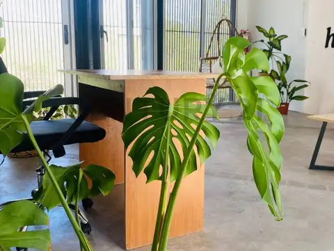 Oficina en Venta 2 años