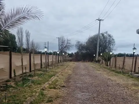 RUTA 16 100