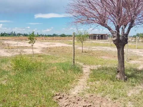 Terreno en Venta de 1000,0 m2