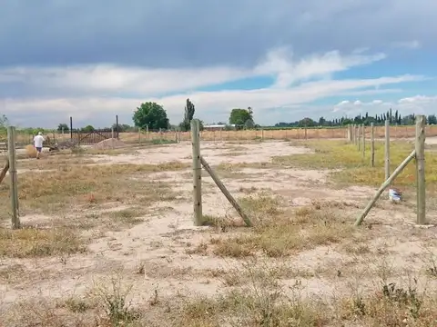 RUTA 16 100