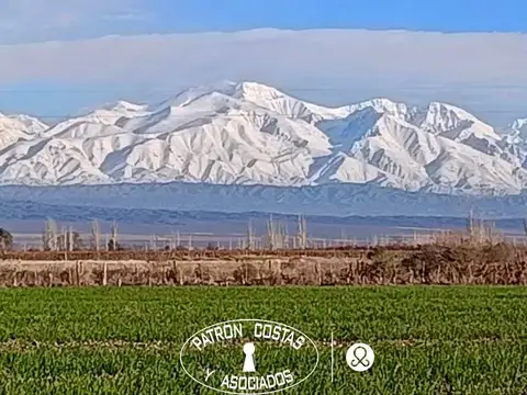 Terreno en venta en Valle de Uco