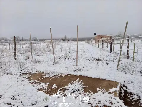 Departamento en Venta al Este