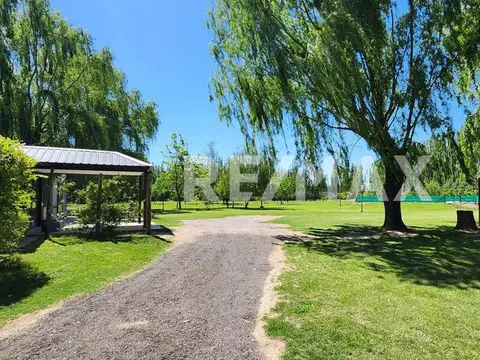 Quinta en Venta en Cipolletti, USD 350.000