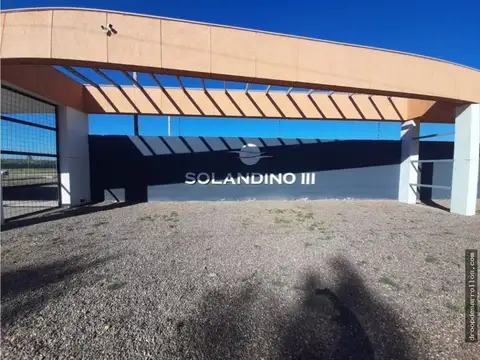 BUENA NUEVA