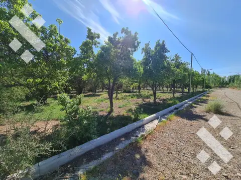 Terreno en Venta en Cervantes, USD 190.000