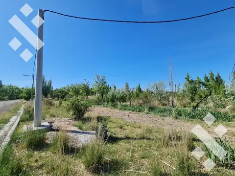 VENTA TERRENO 28.139 m2  EN CERVANTES – DPTO DE GRAL ROCA – PCIA DE RIO NEGRO