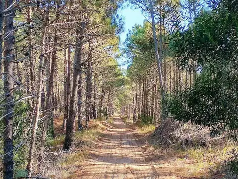 Terreno en Venta 30  mts Fondo