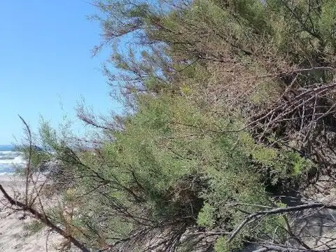 Terreno en Venta de 261,0 m2