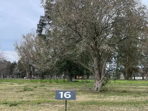 Terreno en Venta de 731,0 m2