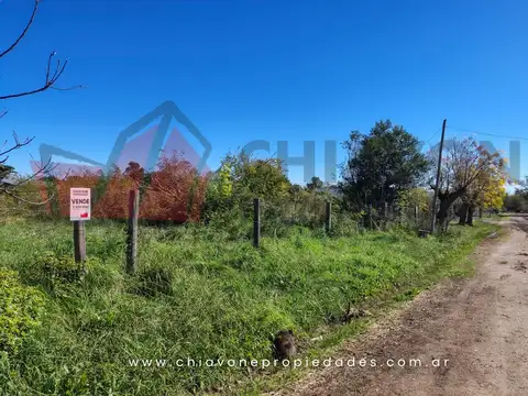 Francia Y Urquiza 100