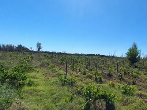 Ruta Nacional 146 y Collado