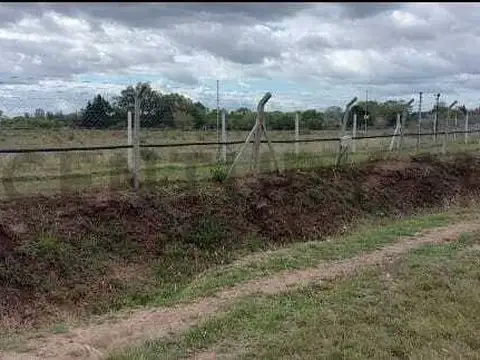 Petrocci 5300, Piso 0