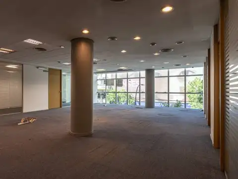 Oficina corporativa en alquiler- Piso 1