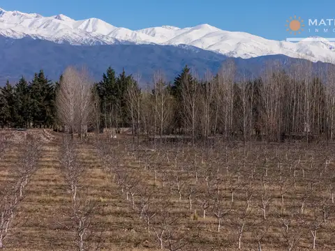 Campo en Venta de 5  ha