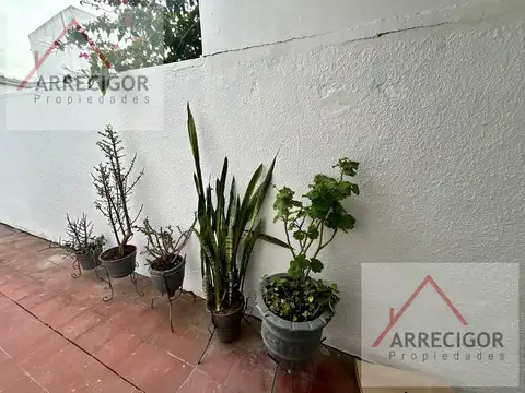 Depto Tipo Casa en Alquiler de 1 dormitorio