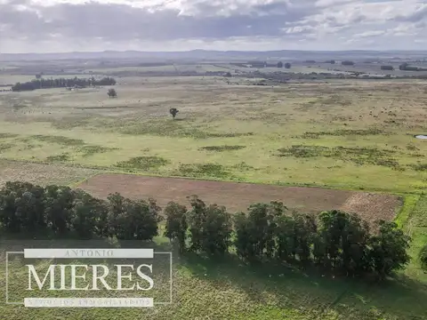 Campo de 50ha Ganadero, ubicado a 30 km de José Ignacio