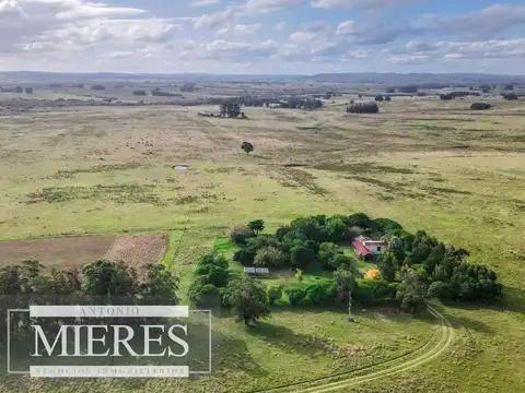 Campo de 50ha Ganadero, ubicado a 30 km de José Ignacio