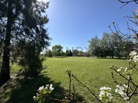 VENTA - CASA DE CAMPO - ESTANCIA LAS LILAS!