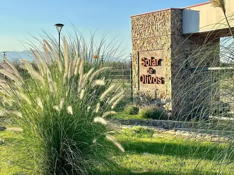Terreno en Venta en Maipú, Mendoza