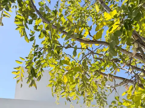 Casa 4 dormitorios Vida Club de campo