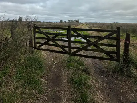  VENTA LOTE 13,71 HECTAREAS, LA PLATA 