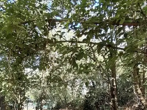 Terreno en Venta de 514,0 m2