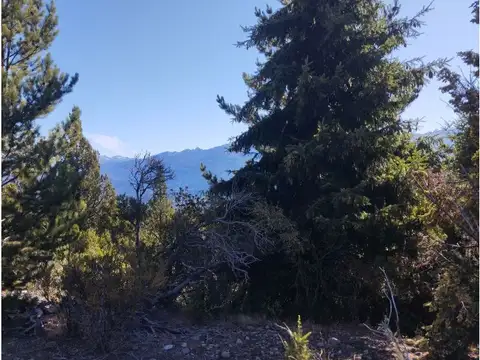 Terreno en Venta 200  mts Frente