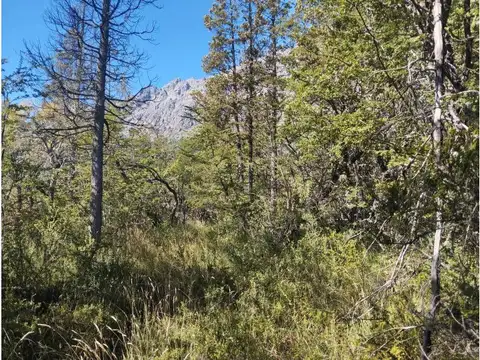 Terreno en Venta 748  mts Fondo