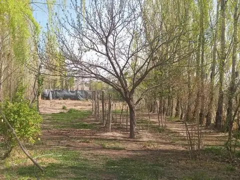 Casa en Cinco Saltos