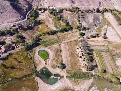 VENTA TERRENO - MAIMARA LOTE H