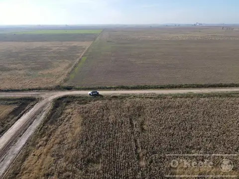 Campo en venta de 217 has en Rosario