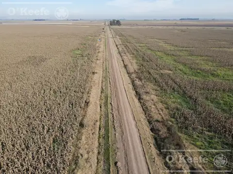 Campo en venta de 217 has en Rosario