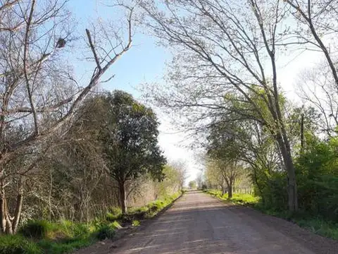 Terreno en Venta en Joaquín Gorina, USD 16.500