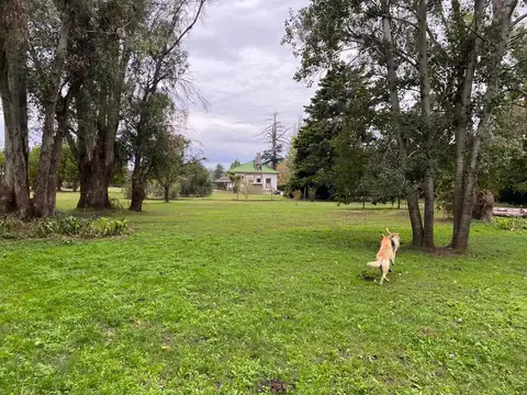 Terreno en Venta en Agote, USD 27.000