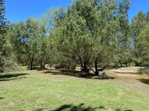 Palmares del Delta