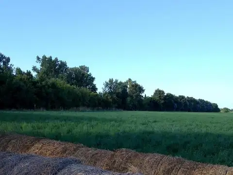 Terreno en venta - 6 Hectáreas - Luján