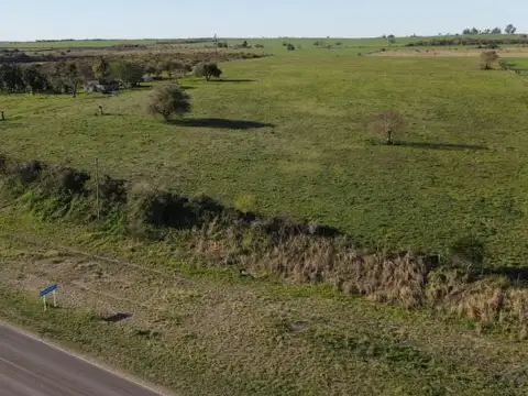 Campo de 2 hectareas sobre Ruta 11 Laguna del Pescado, próximo a Borde Rio! Victoria Entre Rios