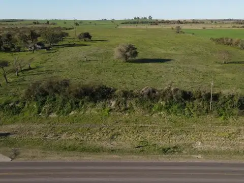 Campo de 2 hectareas sobre Ruta 11 Laguna del Pescado, próximo a Borde Rio! Victoria Entre Rios