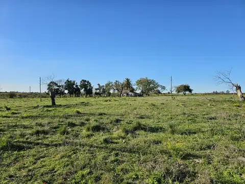 Campo de 2 hectareas sobre Ruta 11 Laguna del Pescado, próximo a Borde Rio! Victoria Entre Rios