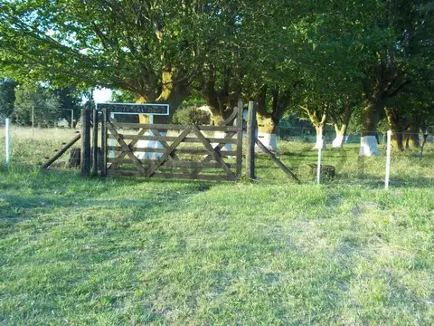 VENTA CASA EN CAMPO DE 5 HECTÁREAS EN LAS FLORES APTO PARA EXPLOTACIÓN GANADERA Y AGRÍCOLA
