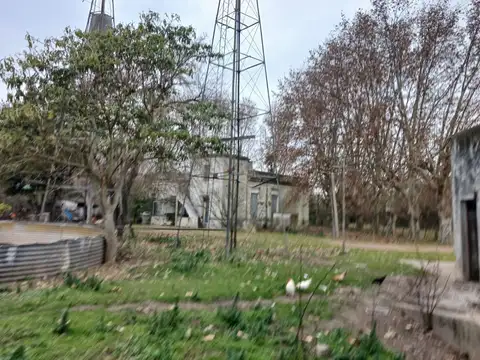 AV. PRESIDENTE PERON 100