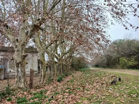 CAMPO EN VENTA - 10 HECTÁREAS EN SAN VICENTE, BUENOS AIRES