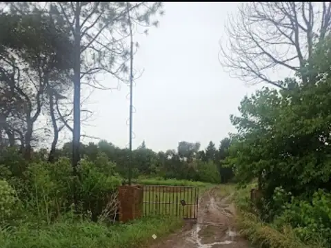 VENTA 9 Hectareas con tres propiedades y galpón